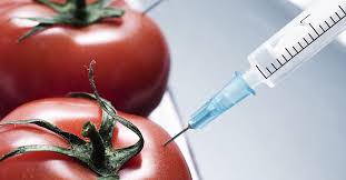 Chemical Food Additive